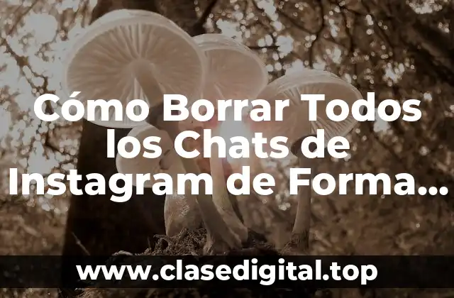 Cómo Borrar Todos los Chats de Instagram de Forma Segura y Permanente