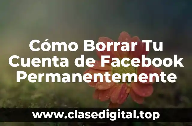 ¿Por qué Borrar Tu Cuenta de Facebook?
