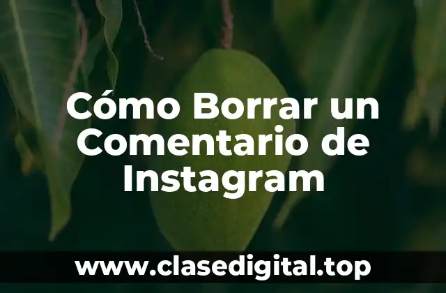 Cómo Borrar un Comentario de Instagram