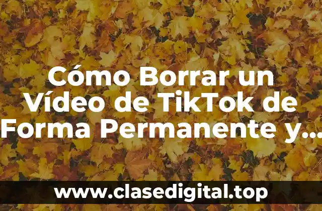 Cómo Borrar un Vídeo de TikTok de Forma Permanente y Segura