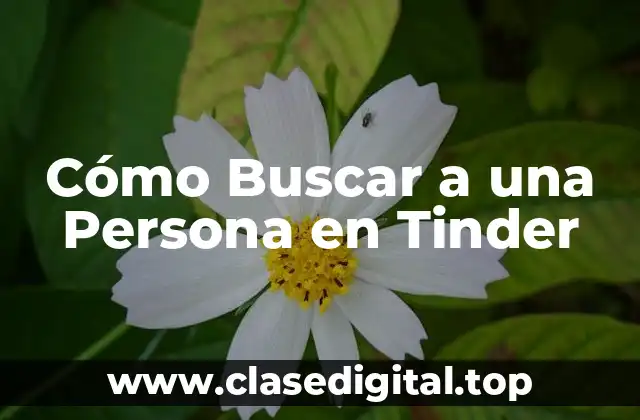 Cómo Buscar a una Persona en Tinder