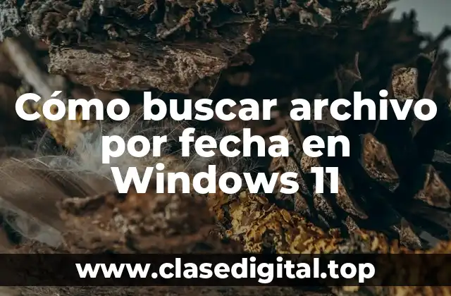 Cómo buscar archivo por fecha en Windows 11