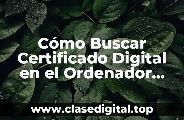 Cómo Buscar Certificado Digital en el Ordenador (Guía Completa)