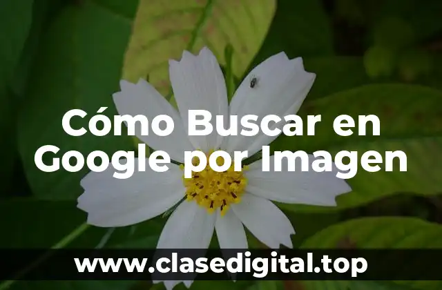 Cómo Buscar en Google por Imagen