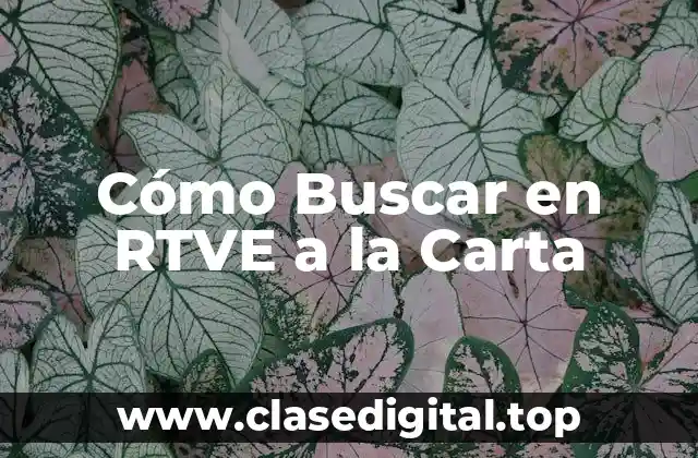 Cómo Buscar en RTVE a la Carta