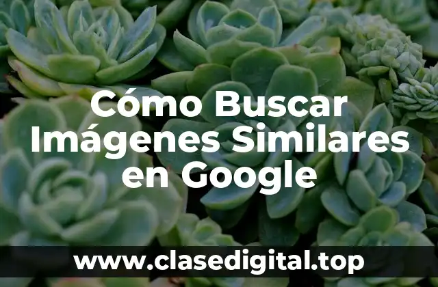 ¿Qué es la Búsqueda de Imágenes Similares en Google?