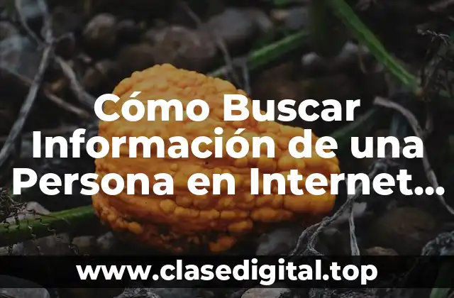 ¿Por qué Buscar Información de una Persona en Internet?
