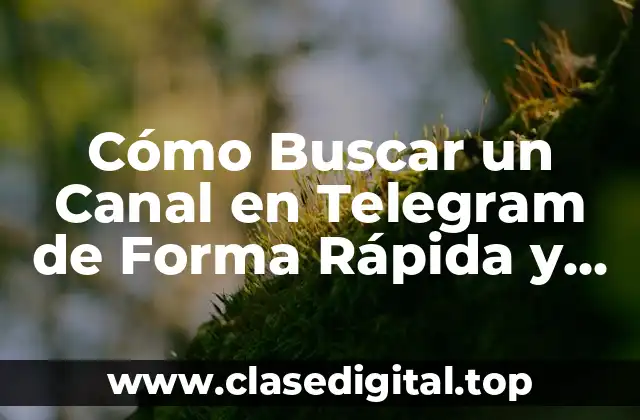 Cómo Buscar un Canal en Telegram de Forma Rápida y Segura
