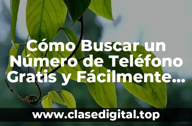 Cómo Buscar un Número de Teléfono Gratis y Fácilmente en Internet