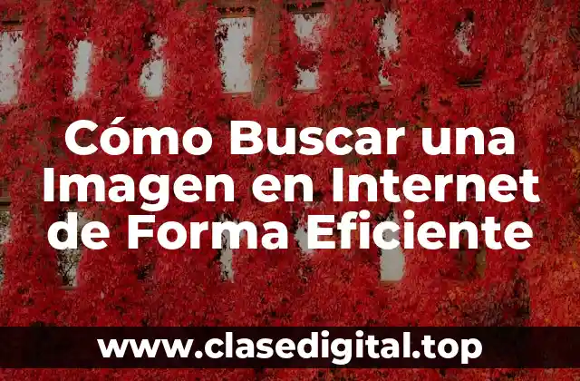 Cómo Buscar una Imagen en Internet de Forma Eficiente