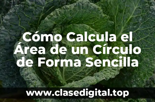 Cómo Calcula el Área de un Círculo de Forma Sencilla
