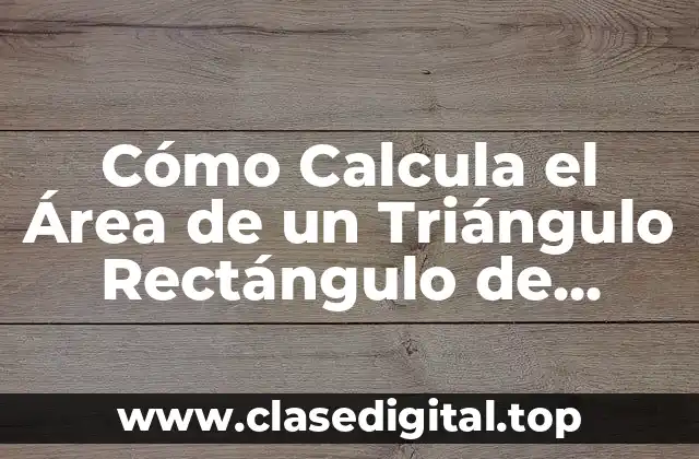 ¿Qué es un Triángulo Rectángulo?
