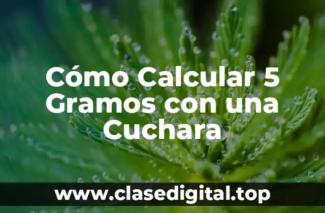 Cómo Calcular 5 Gramos con una Cuchara