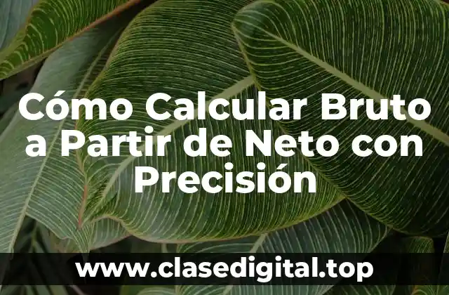 Cómo Calcular Bruto a Partir de Neto con Precisión