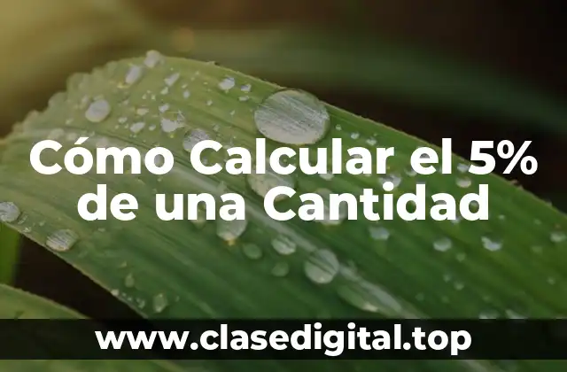 Cómo Calcular el 5% de una Cantidad