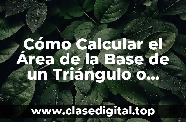 Cómo Calcular el Área de la Base de un Triángulo o Polígono