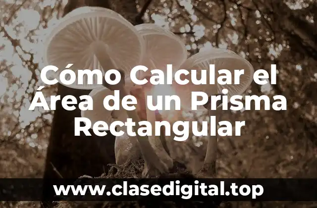 Cómo Calcular el Área de un Prisma Rectangular