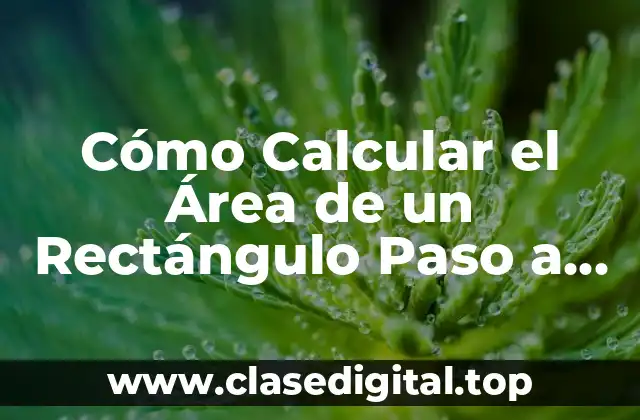 Cómo Calcular el Área de un Rectángulo Paso a Paso