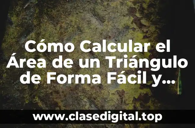 Cómo Calcular el Área de un Triángulo de Forma Fácil y Rápida