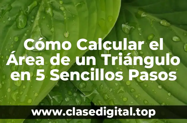 Cómo Calcular el Área de un Triángulo en 5 Sencillos Pasos