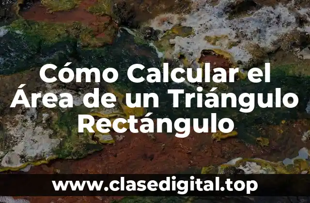 Cómo Calcular el Área de un Triángulo Rectángulo