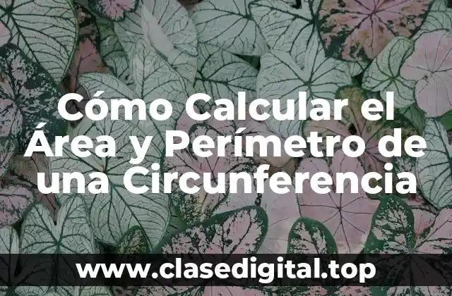 Cómo Calcular el Área y Perímetro de una Circunferencia