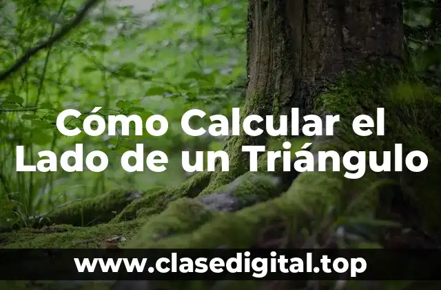 Cómo Calcular el Lado de un Triángulo