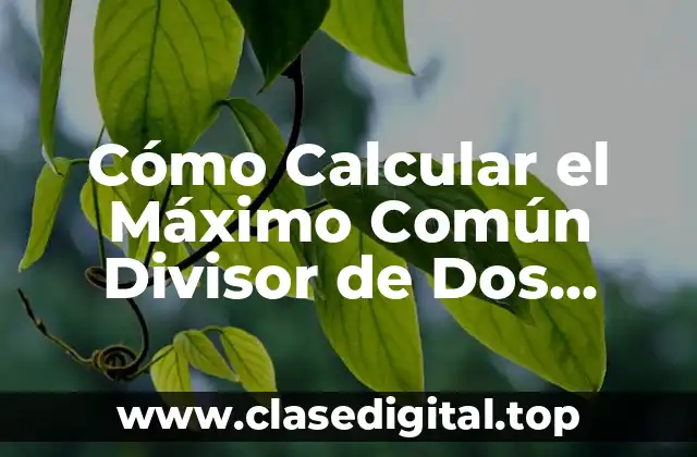 Cómo Calcular el Máximo Común Divisor de Dos Números (MCD)