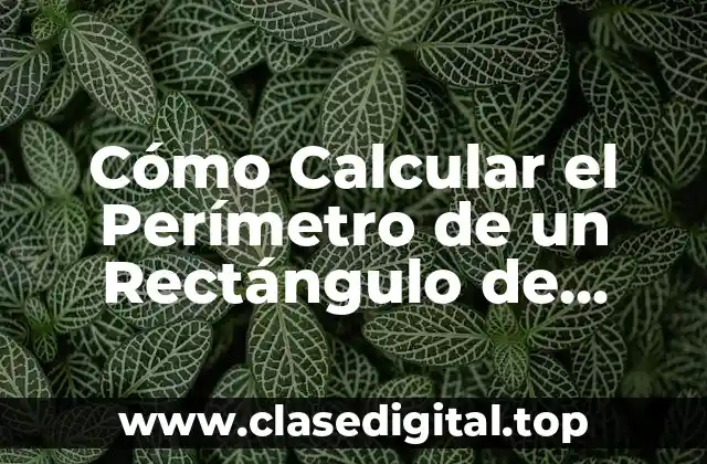 Cómo Calcular el Perímetro de un Rectángulo de Forma Fácil y Rápida