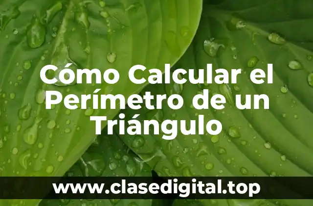 Cómo Calcular el Perímetro de un Triángulo