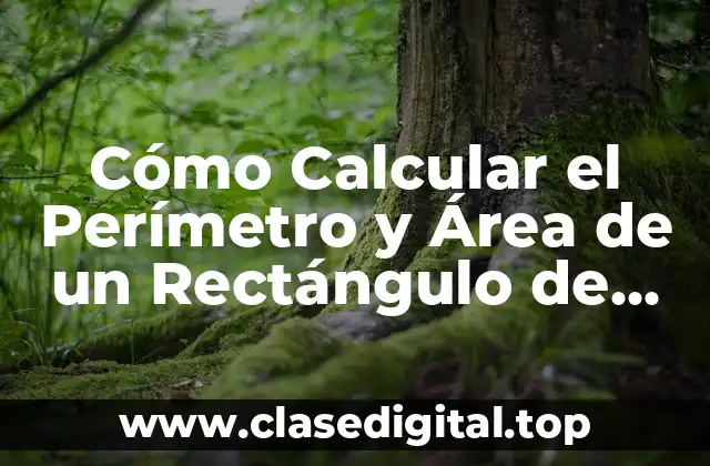 Cómo Calcular el Perímetro y Área de un Rectángulo de Forma Fácil