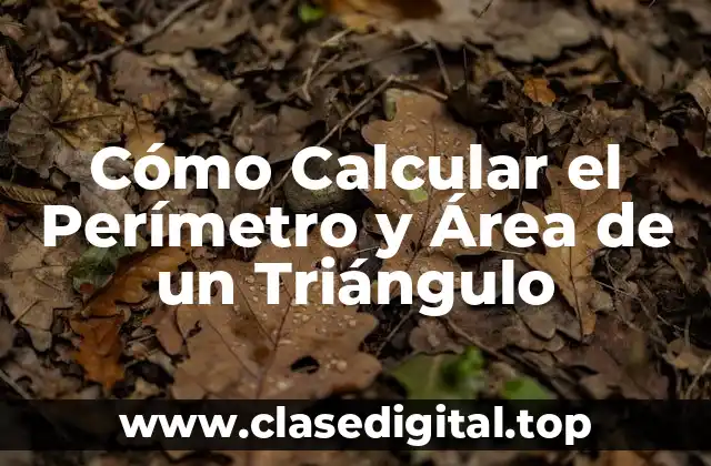 Cómo Calcular el Perímetro y Área de un Triángulo