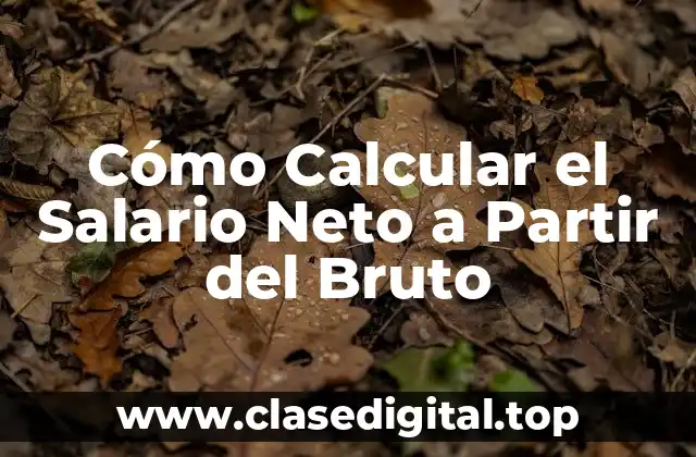 ¿Qué es el Salario Bruto y Cómo se Calcula?