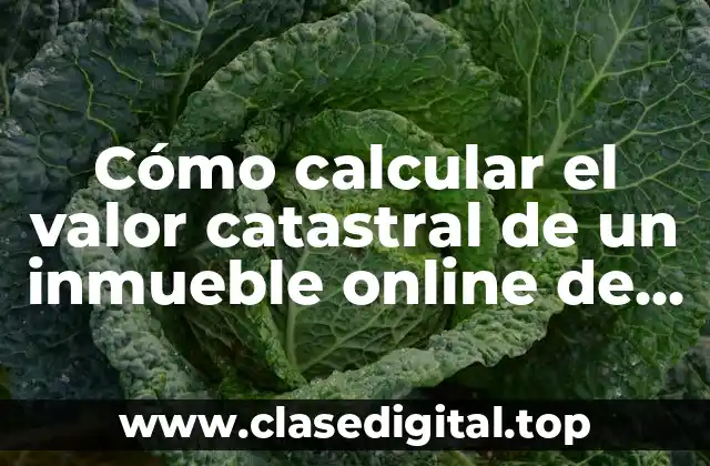 Cómo calcular el valor catastral de un inmueble online de forma rápida y sencilla