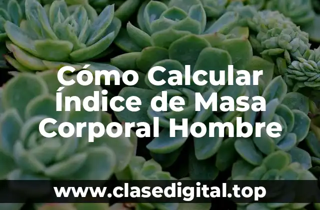 ¿Qué es el Índice de Masa Corporal?