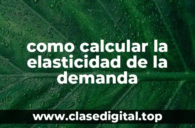 como calcular la elasticidad de la demanda
