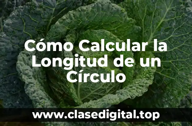 Cómo Calcular la Longitud de un Círculo