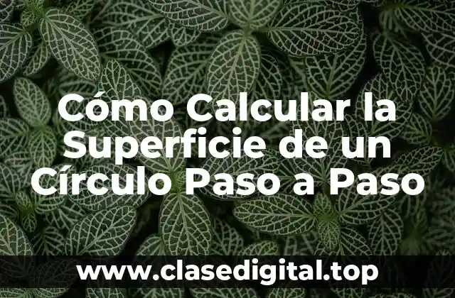 Fórmula para Calcular la Superficie de un Círculo