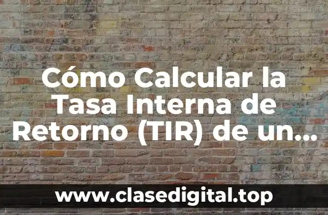 Cómo Calcular la Tasa Interna de Retorno (TIR) de un Proyecto de Inversión