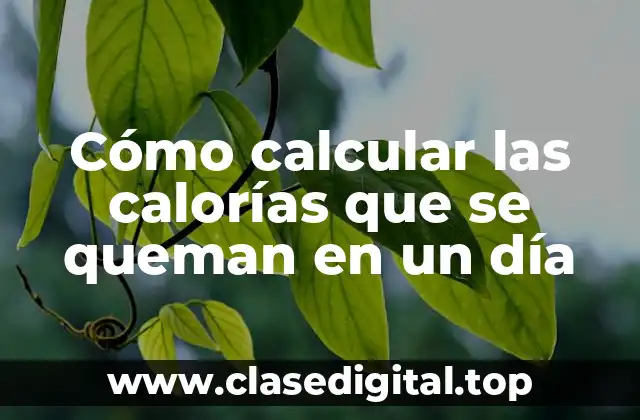 Cómo calcular las calorías que se queman en un día