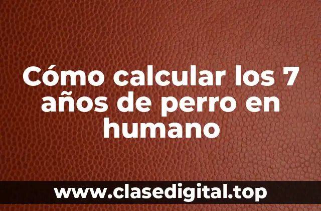 Cómo calcular los 7 años de perro en humano