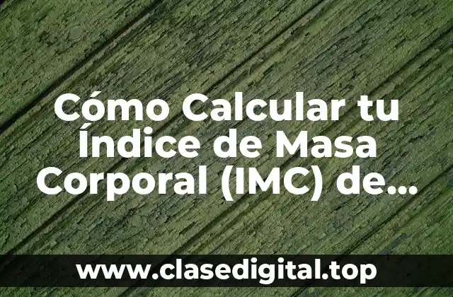 ¿Qué es el Índice de Masa Corporal (IMC)?