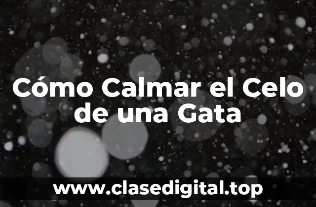 Cómo Calmar el Celo de una Gata