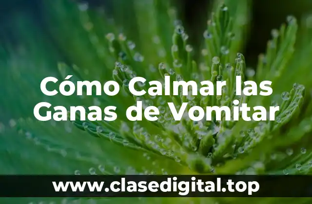 Cómo Calmar las Ganas de Vomitar