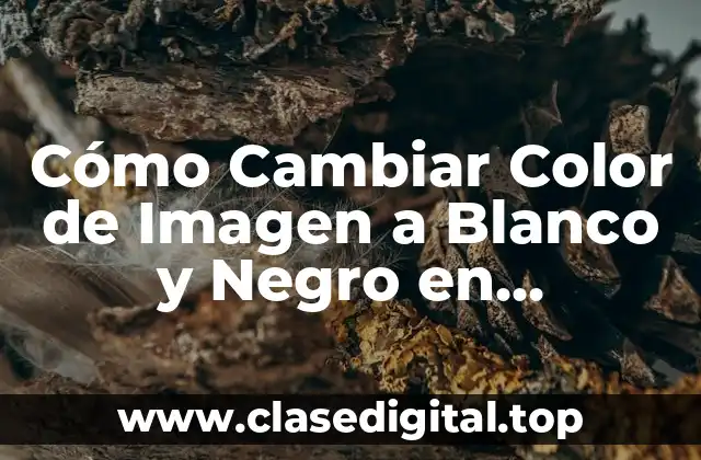 Cómo Cambiar Color de Imagen a Blanco y Negro en Photoshop