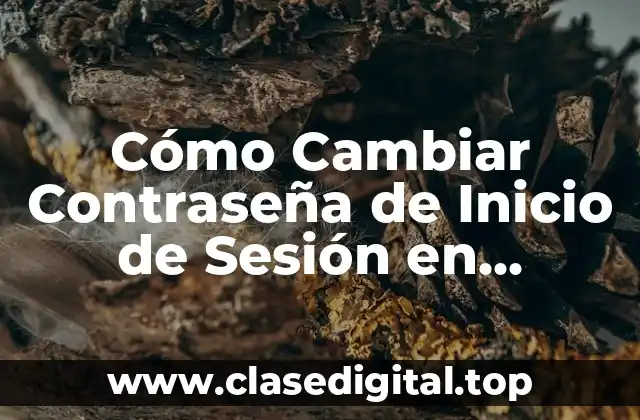 Cómo Cambiar Contraseña de Inicio de Sesión en Windows 11