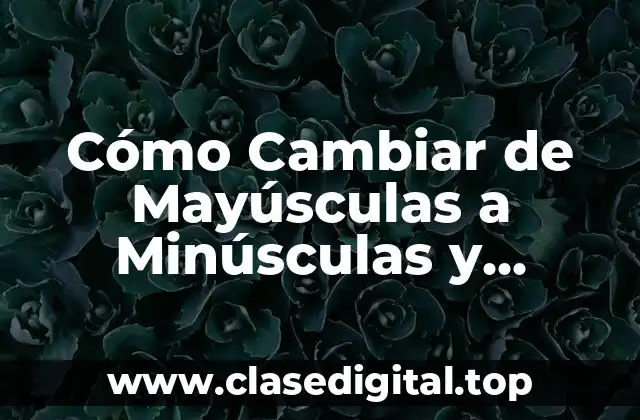 Cómo Cambiar de Mayúsculas a Minúsculas y Viceversa en Excel