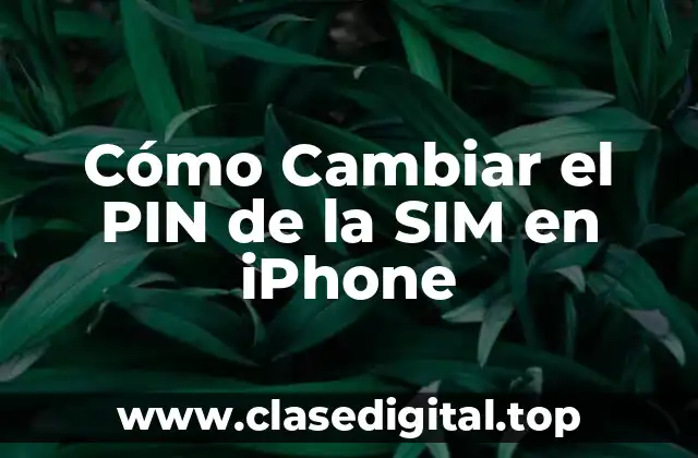 Cómo Cambiar el PIN de la SIM en iPhone