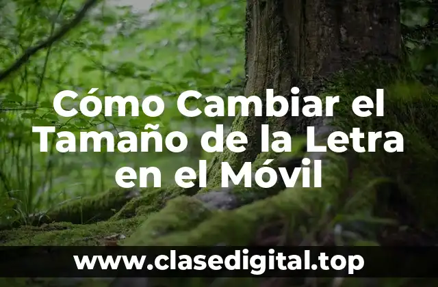 ¿Por qué Cambiar el Tamaño de la Letra en el Móvil es Importante?