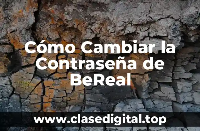 Cómo Cambiar la Contraseña de BeReal